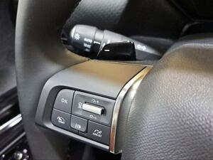 Citroën C5 X Hybrid 225 e-EAT8 Shine
